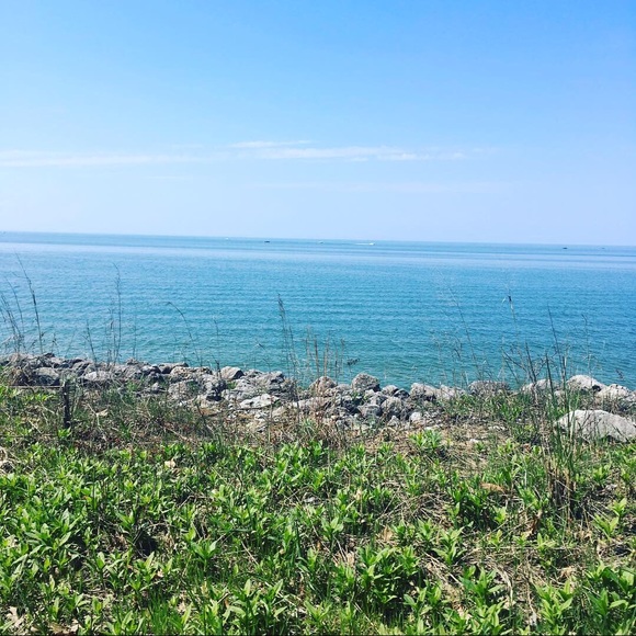 Meet your Posher, Kelly - Picture 2 of 5